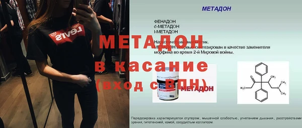 прущие грибы Абаза