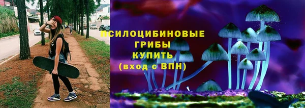герыч Алексин